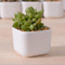 Kreative Desktop-Dekoration Mini Weiß Runde Keramik Blumentopf