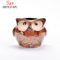 5 Design Keramik Cartoon Eule Pflanzer Porzellan Tier Blumentopf / C.