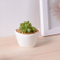 Mini Desktop Mini Keramik Blumentopf