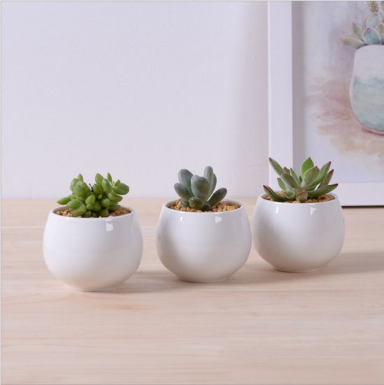 Großer runder Mini-Keramik-Blumentopf