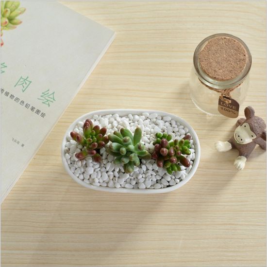 Couchtisch Schreibtisch Typ Keramik Blumentopf Weiße Gans