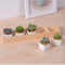 5 Gitterbox mit weißem Keramikblumentopf
