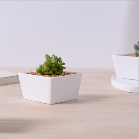 Weißer Keramik-Blumentopf mit dreieckigem Boden, verschiedene kalte Gerichte