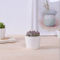 Großer runder Mini-Keramik-Blumentopf
