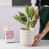 Keramikpflanzen Pflanzer Blumenpot geschnitztes Muster Tabletop Dekoration Hauseinrichtung Dekoration